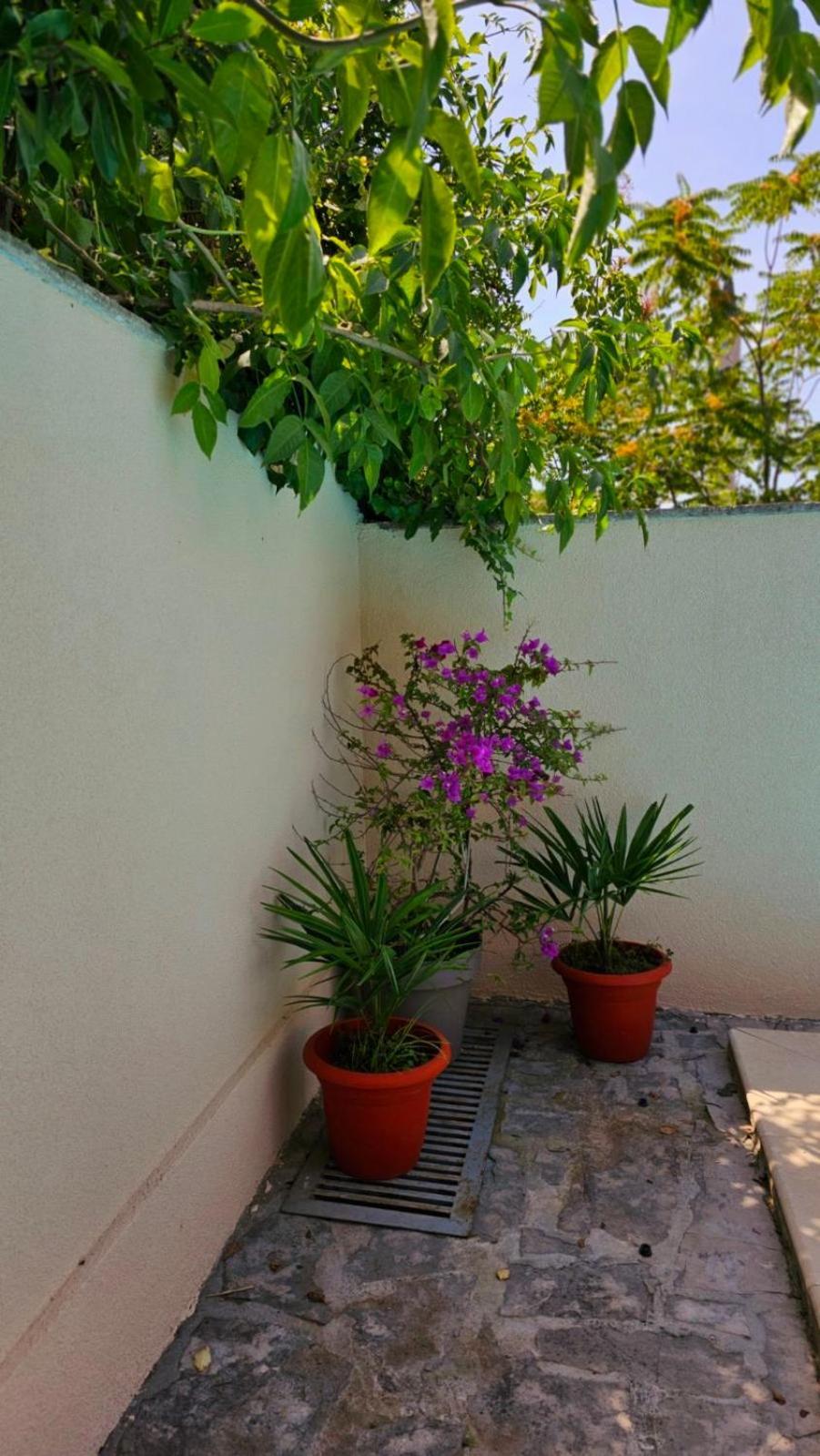 Lovely House With Swimming Pool Мостар Екстер'єр фото